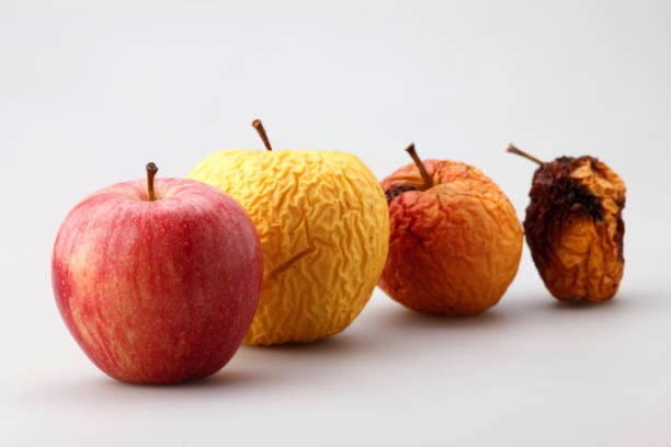 Nrf2 – a Magic Molecule?